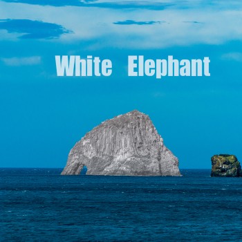 White Elephant