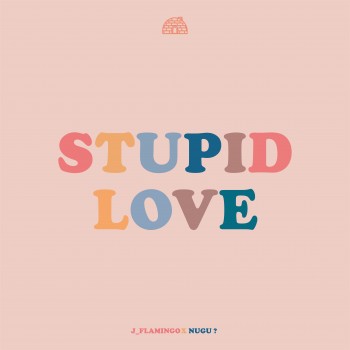 Stupid Love_나이비 이관