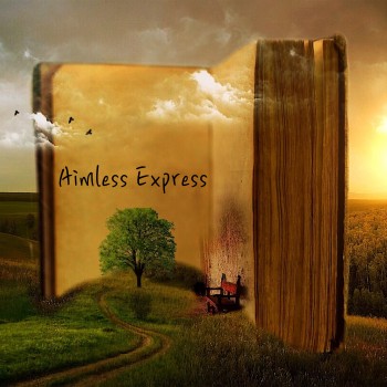 Aimless Express